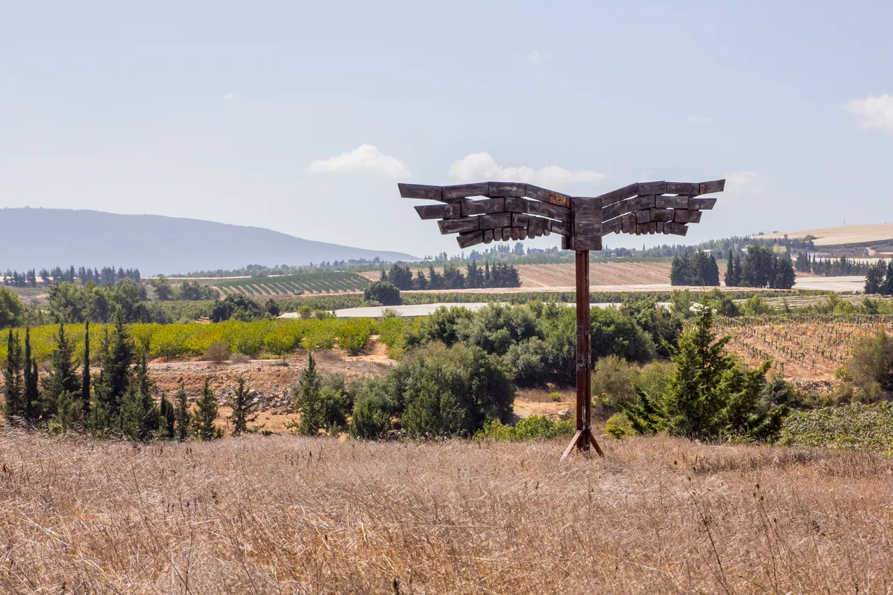 Wood work by Elad Guterman
