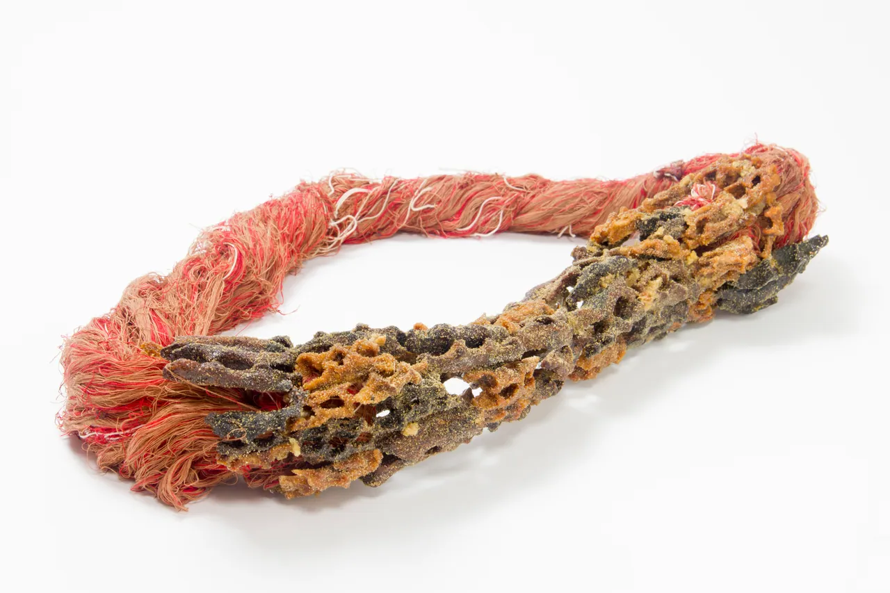 Necklace, Textile strings, Epoxy, Carrot