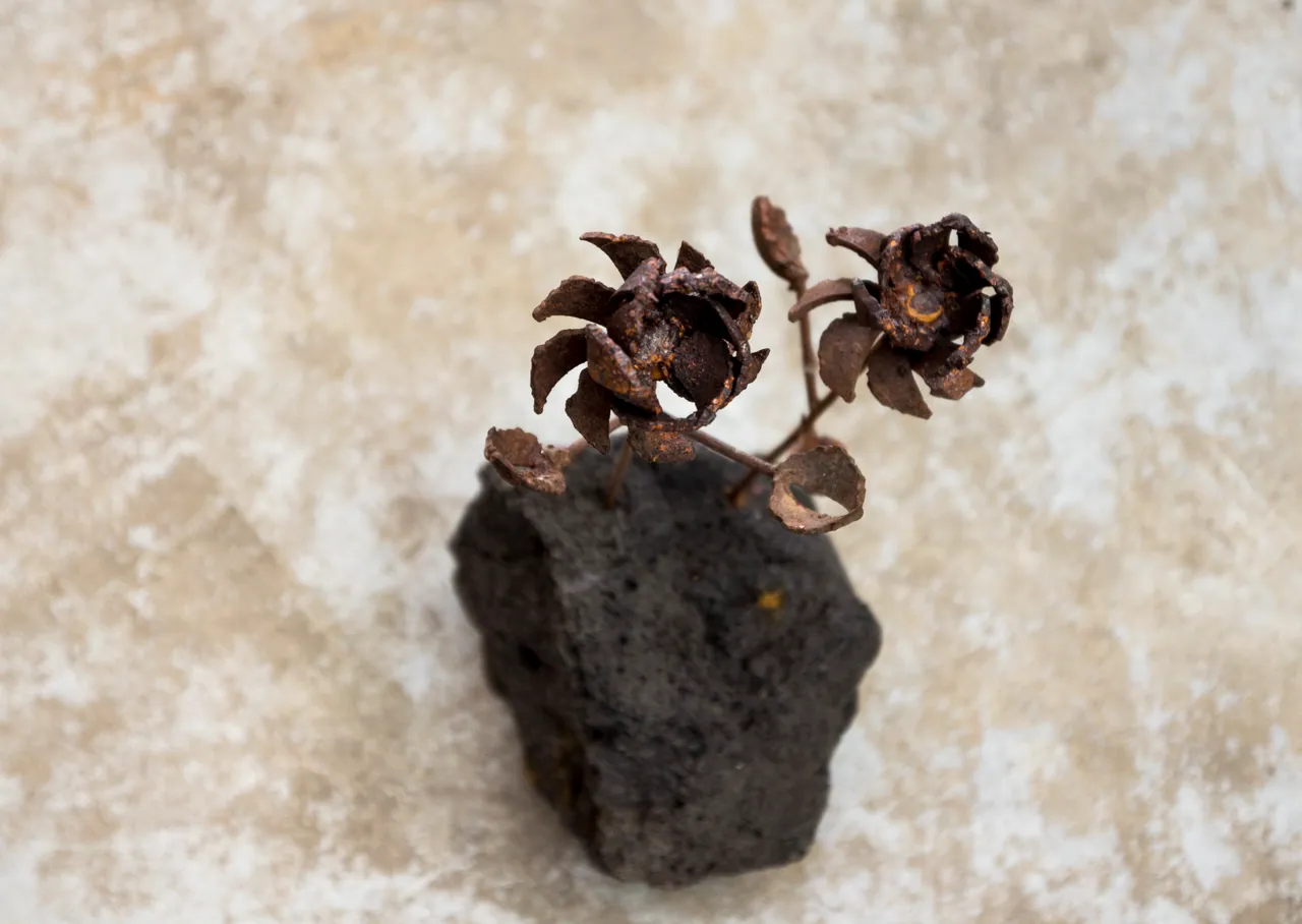 Metal & iron waste work by Elad Guterman