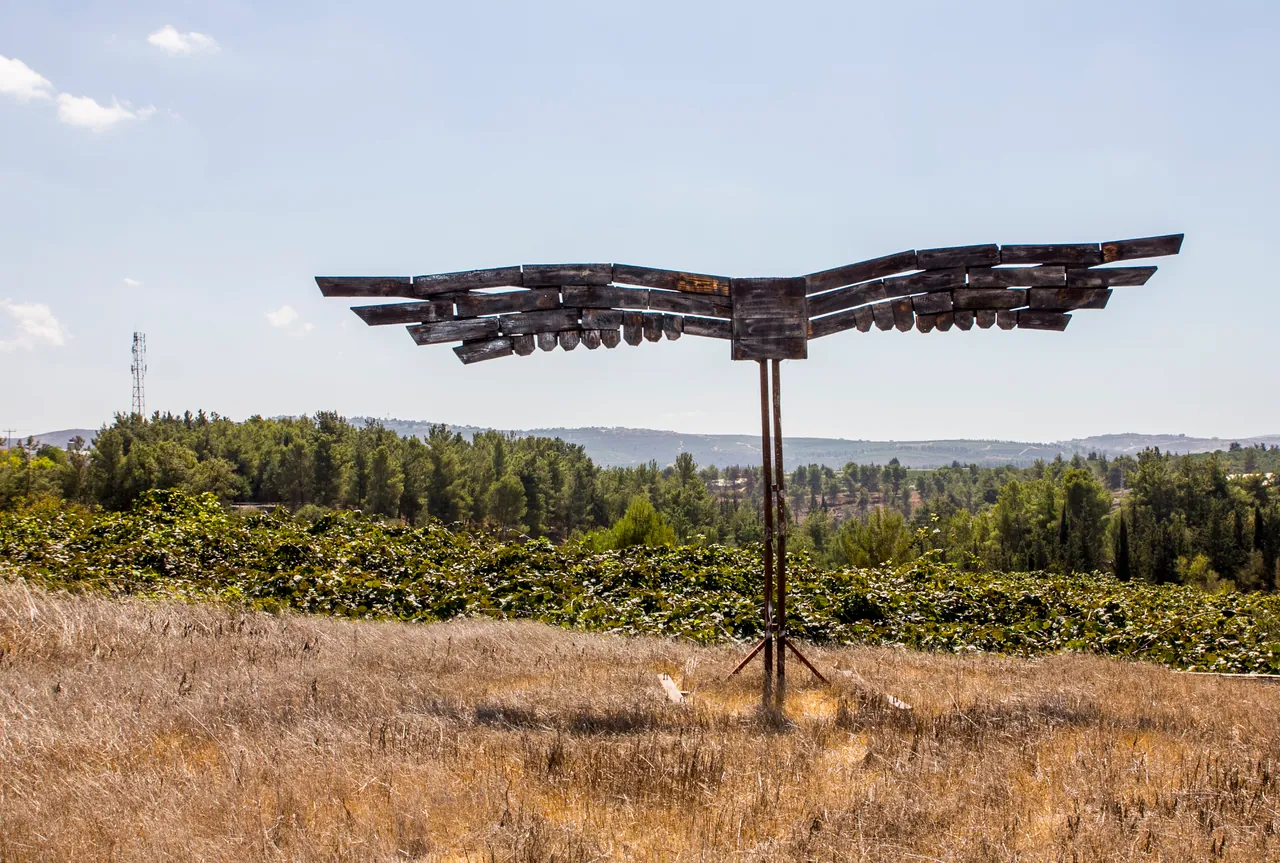 wings, wooden pallets