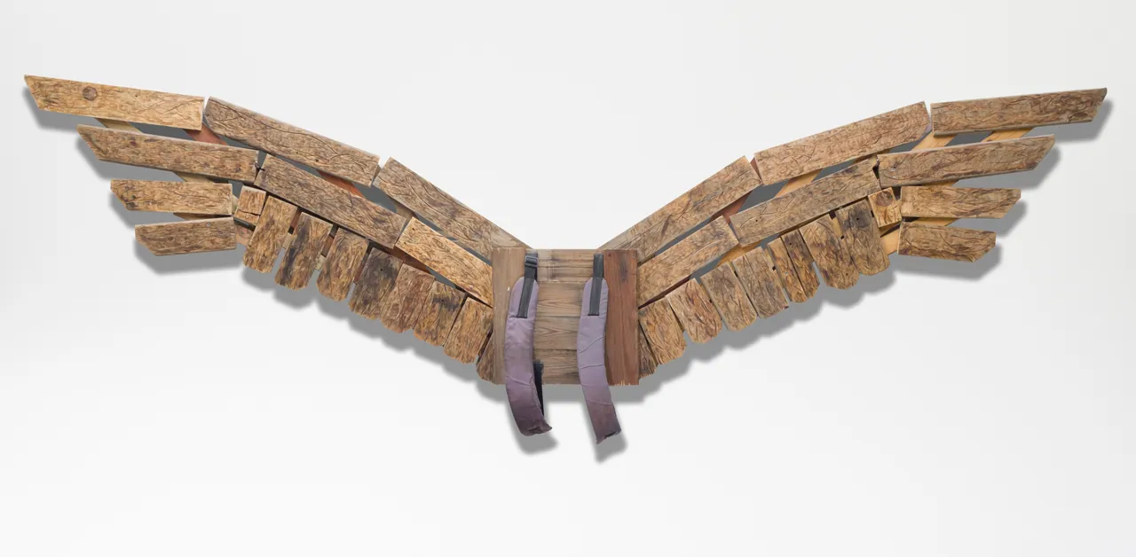 Wings, wood, readymade